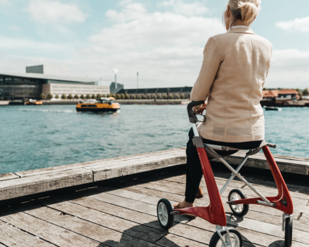 Carbon light rollator