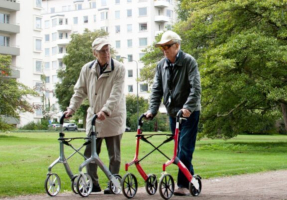 lets-fly-rollator in het park